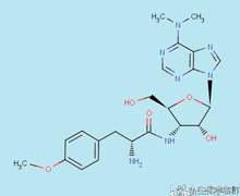 核酸与核苷酸（一） (核酸和核苷酸的区别图片)