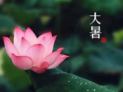 大暑节气要注意什么