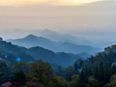 莫干山风景区(莫干山旅游攻略两日游)