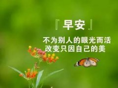 问候的短信(早安简单又暖心的问候语)