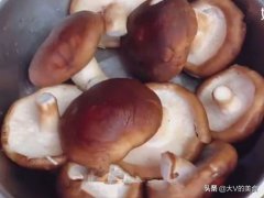 香菇炒肉做法(香菇炒肉片这样炒好吃)