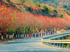 攀枝花旅游景点大全(四川攀枝花旅游不能错过的12个景点)