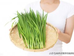 孕妇可以吃韭菜吗？(孕妇能吃韭菜吗？)