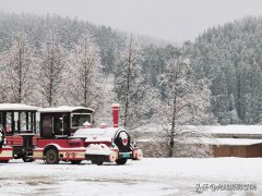 重庆仙女山攻略(重庆仙女山雪景行摄攻略)