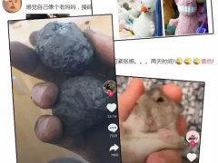 盘她什么意思？(火爆网络的流行语“盘他”)