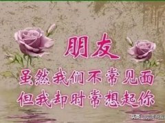 早上好祝福语优美句子(很走心的早安祝福语唯美句子)