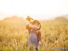 姓康属牛女宝宝起名(属牛女孩起名)