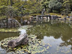 德川家康家训(德川家康的八条家训)