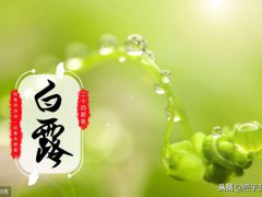 白露七言绝句(七绝《己亥白露节令寄怀》十二首)