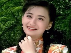 梅花三弄主题曲(梅花三弄之梅花烙)