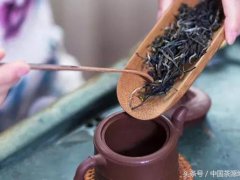 如何泡茶(记住7个泡茶步骤)