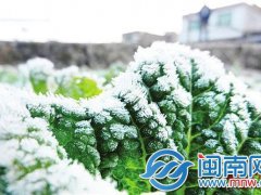 大雪吃什么传统食物(大雪吃什么养生？)