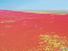 辽宁盘锦红海滩(盘锦红海滩是怎么形成的)