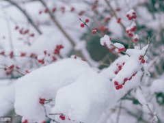 天冷注意保暖(下雪注意保暖的句子)