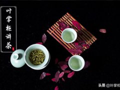 茶叶的保存(茶叶怎么储存最好)