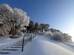 西岳出浮云(西岳出浮云，积雪在太清)