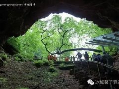 镜泊湖地下森林(镜泊湖火山口地下森林)